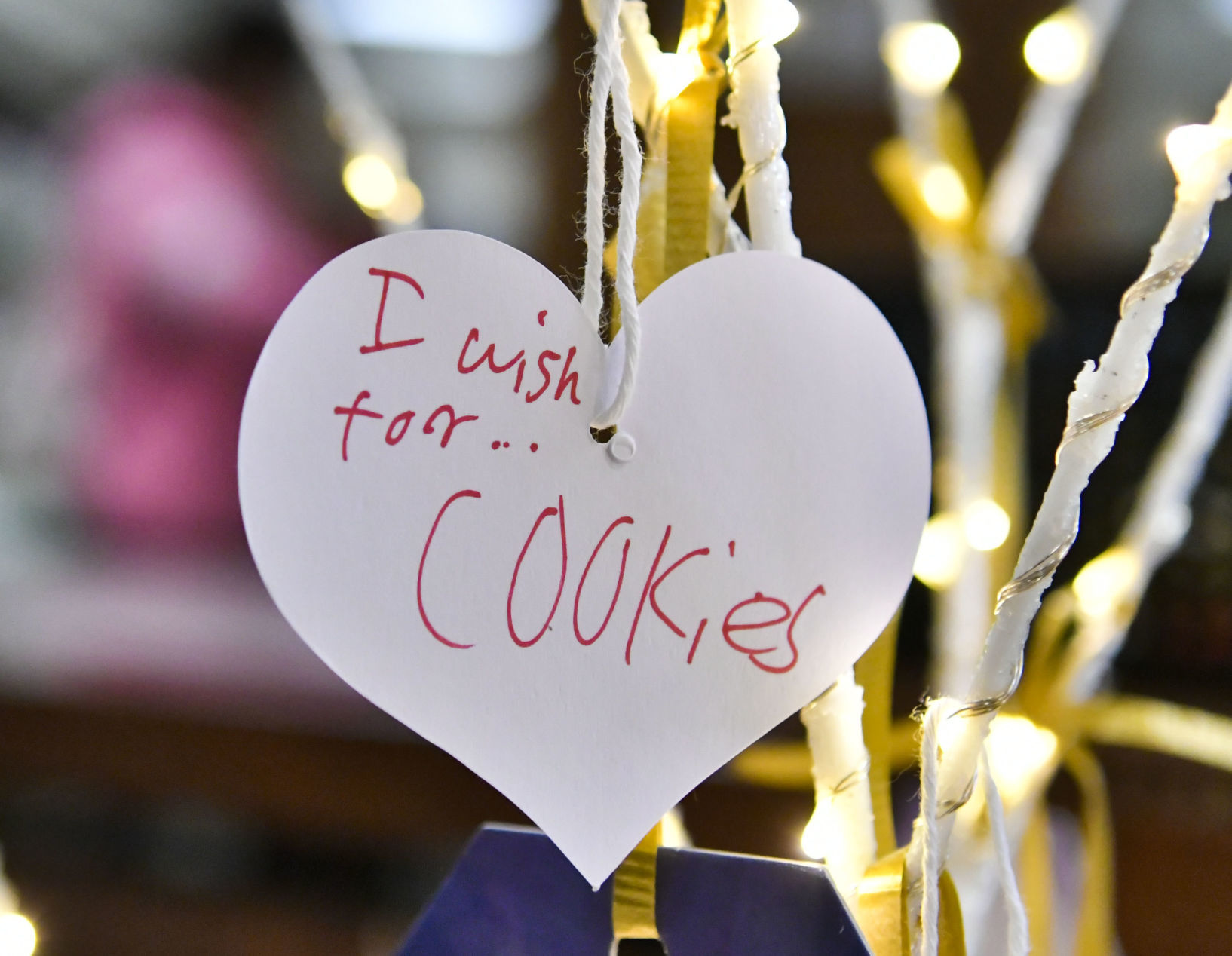 113018 Library wishing tree 05.jpg